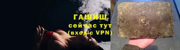 индика Арсеньев