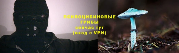 spice Пролетарск