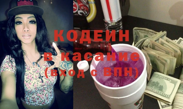 индика Арсеньев