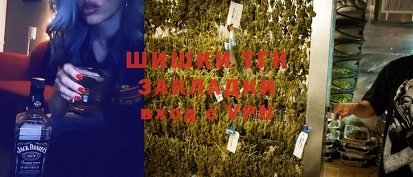индика Арсеньев