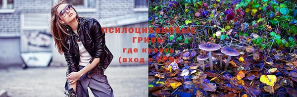 индика Арсеньев