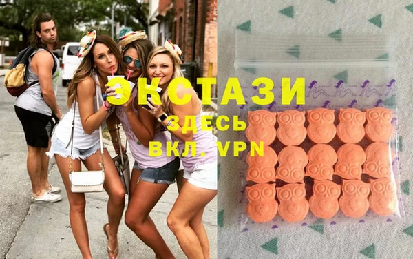 индика Арсеньев