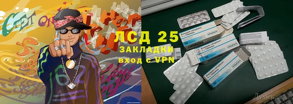 индика Арсеньев