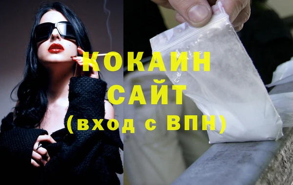 индика Арсеньев
