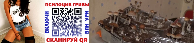 Галлюциногенные грибы ЛСД  купить наркоту  Фатеж 
